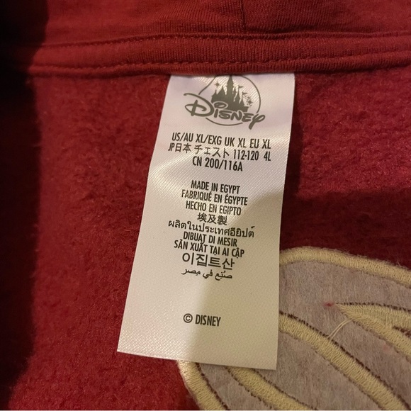 Disney authentic original hoodie-unisex X-large EUC - Picture 9 of 12